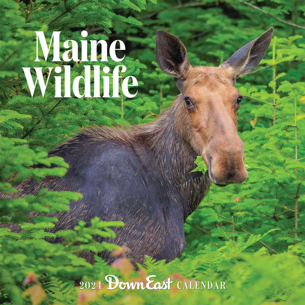 2024 Maine Wildlife Wall Calendar