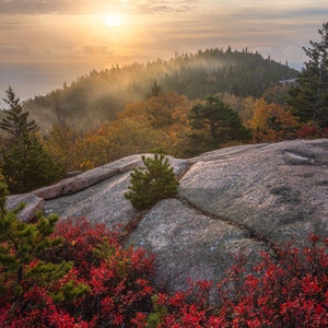 Acadia Photography Workshops