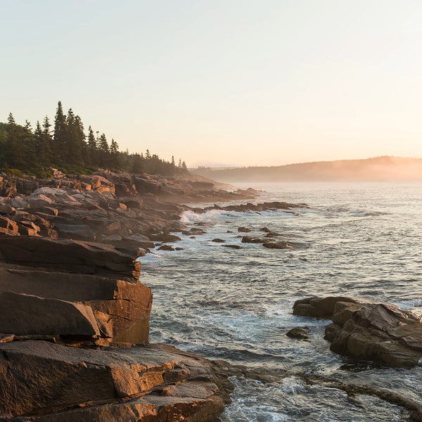 Acadia Photography Workshops