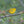 Introduction to Bird Photography