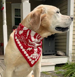 Red nautical lobster bandana for dogs by A Wee Maine Artist, featuring a detailed lobster design on soft fabric.