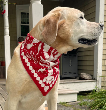 Red nautical lobster bandana for dogs by A Wee Maine Artist, featuring a detailed lobster design on soft fabric.