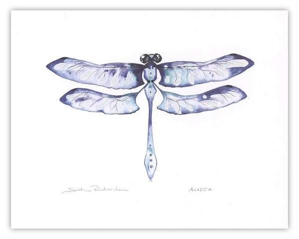 Acadia Dragonfly Print