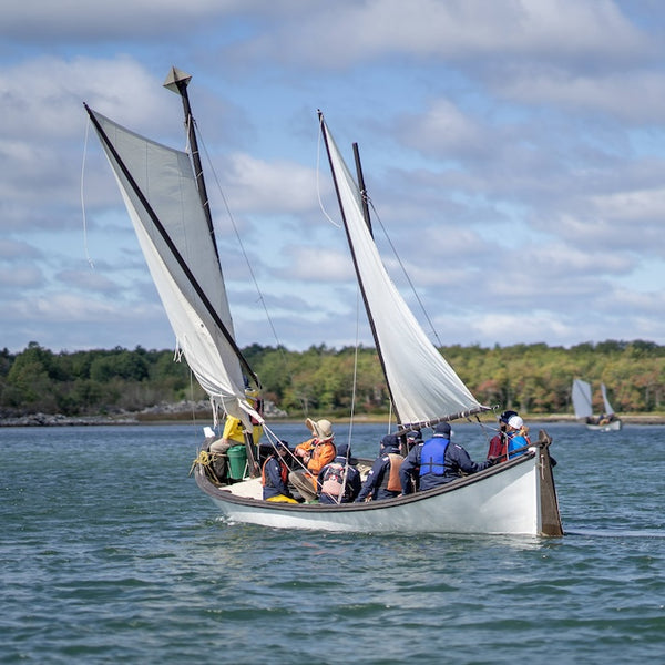 Maine Island Adventure