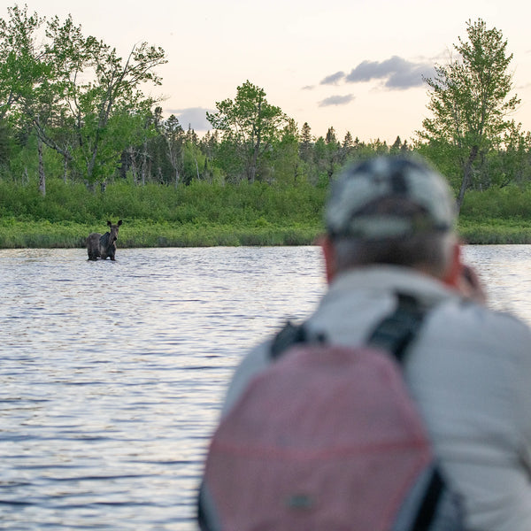 Allagash Canoe Adventure