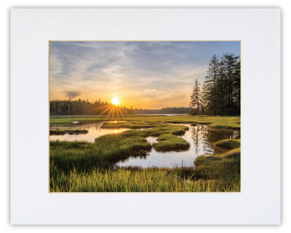 Bass Harbor Marsh Print