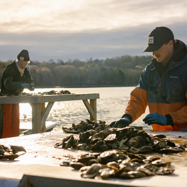 Oyster Farms Charter Adventure