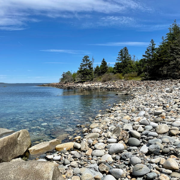 Maine Island Adventure