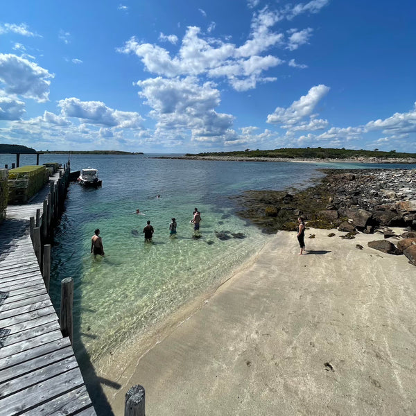 Maine Island Adventure