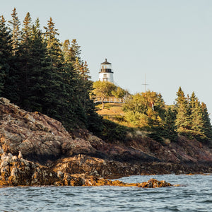 Photography workshop for beginners at Midcoast with Down East Adventures, featuring participants practicing landscape and nature photography.