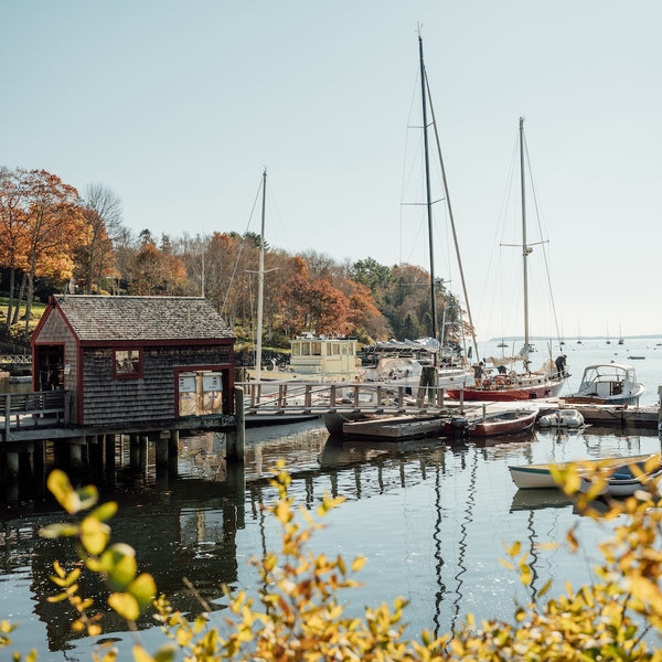 Fall Foliage Photography Workshop