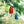 Colorful nautical glass buoy ornaments by Casco Bay Glassworks displayed outdoors with a coastal backdrop.