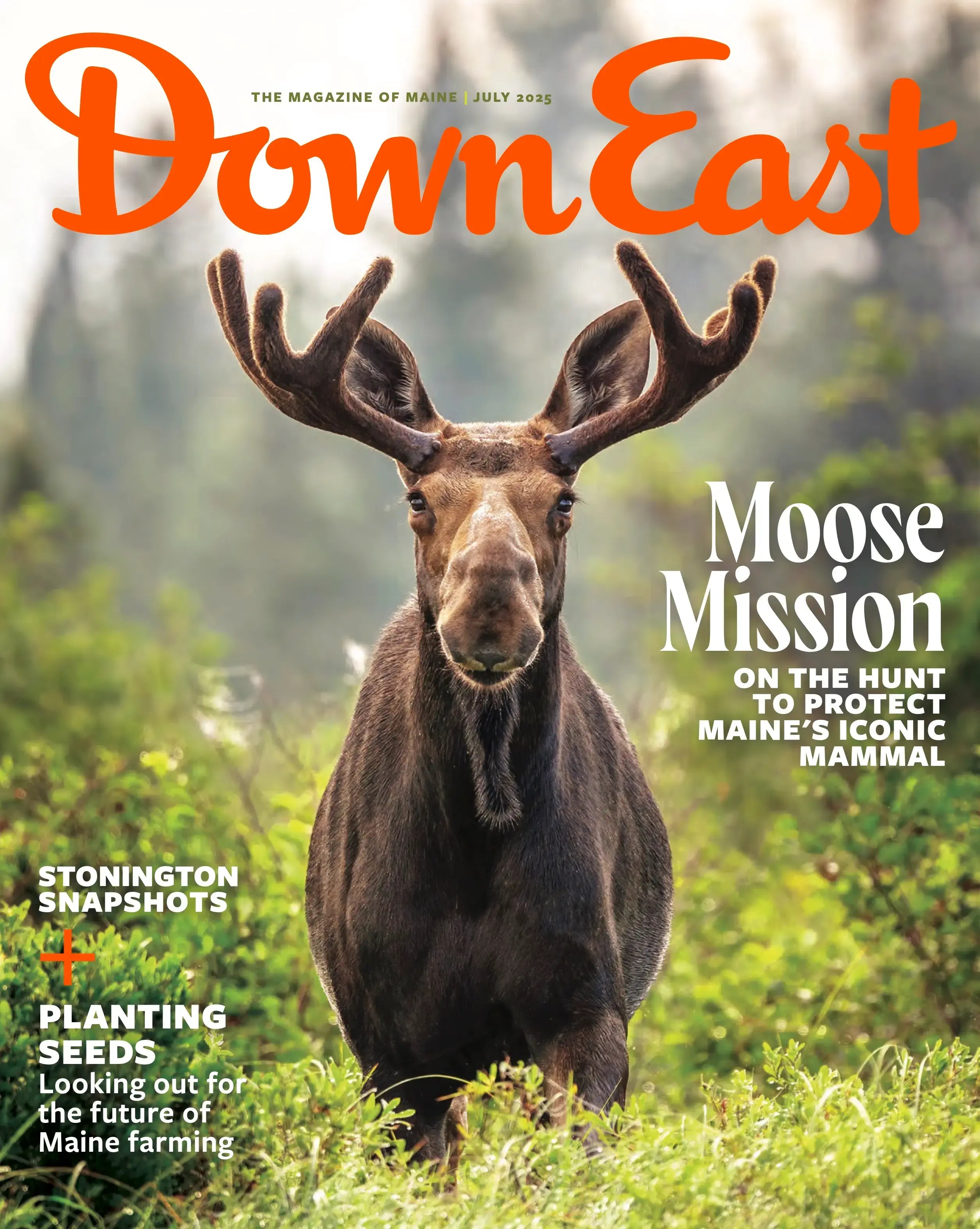 East Blog Mag Down East Magazine, July 2025 | Down East Magazine – Down East Shop