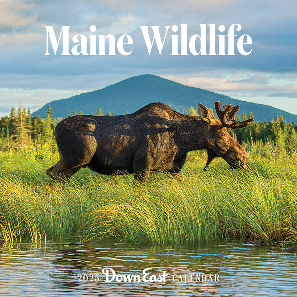 Maine Wildlife Wall Calendar