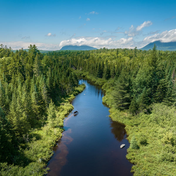 Drone Photography Workshops