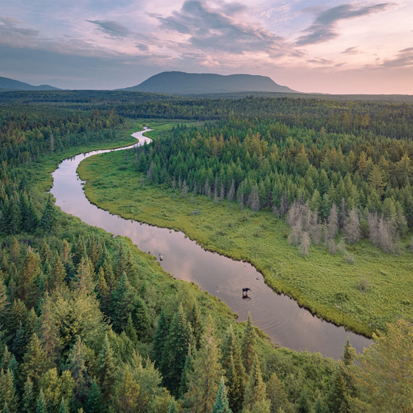 Drone Photography Workshops