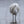 Introduction to Bird Photography