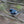 Introduction to Bird Photography