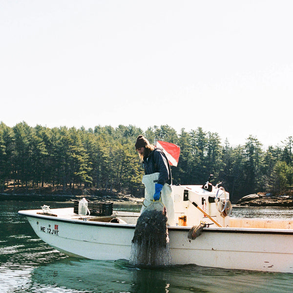 Oyster Farms Charter Adventure