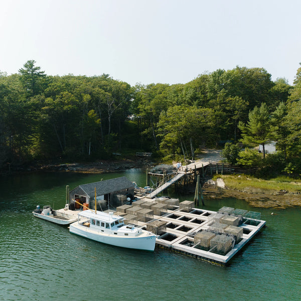 Oyster Farms Charter Adventure