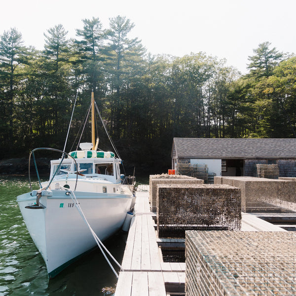 Oyster Farms Charter Adventure