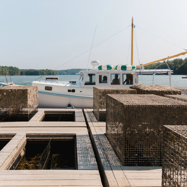 Oyster Farms Charter Adventure