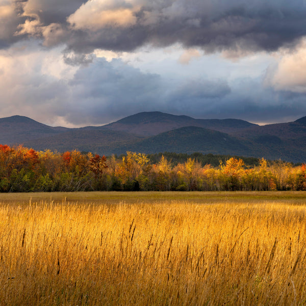 Western Maine Fall Photography Workshops