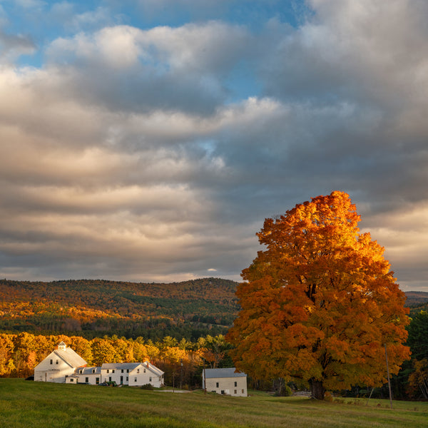 Western Maine Fall Photography Workshops