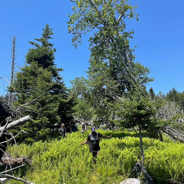 Maine Island Adventure