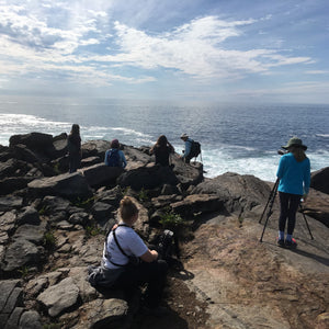 Birding workshop at Monhegan Island with participants and guides, focusing on birdwatching and nature exploration by Down East Adventures.