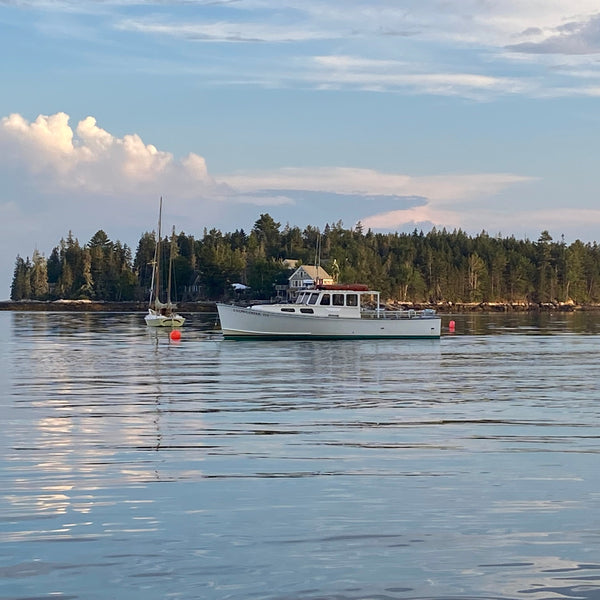 Puffins and Seals Photography Cruise to Eastern Egg Rock