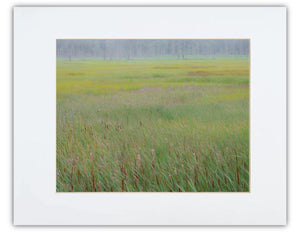 Impression of the Marsh Print