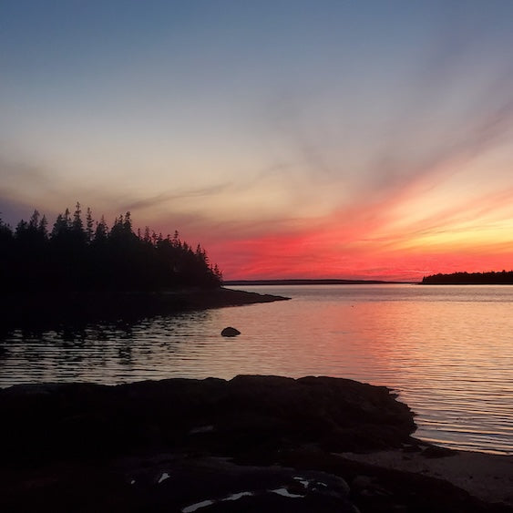 Maine Island Adventure