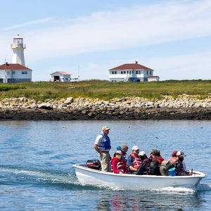 Photograph of puffins on Machias Seal Island taken during Down East Adventures Puffin Photography Workshop by John K. Putnam.