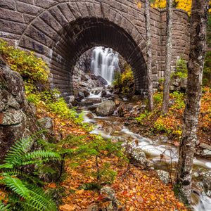 Acadia Photography Workshops