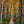 Acadia Photography Workshops