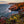 Acadia Photography Workshops