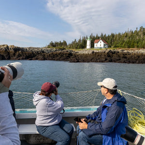 Photograph of puffins on Machias Seal Island during a Down East Adventures whale and bird photography workshop.