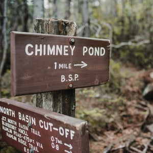 Scenic view of Mount Katahdin during a hiking trip with Down East Adventures, featuring rugged terrain and lush green surroundings.