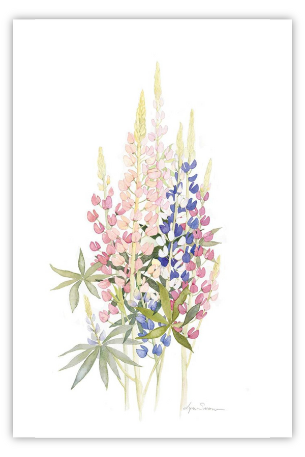 Lyn Snow Summer Flowers Prints