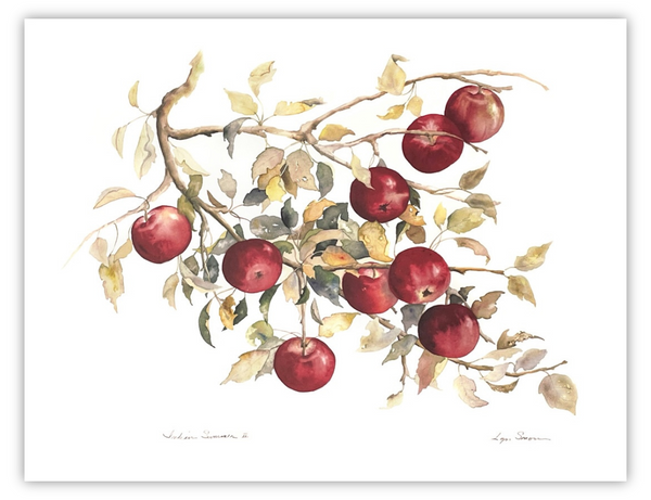 Lyn Snow Fall Fruits Prints