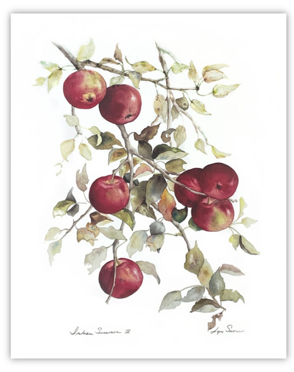 Lyn Snow Fall Fruits Prints