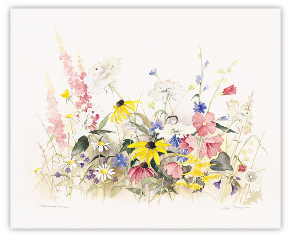 Lyn Snow Summer Flowers Prints