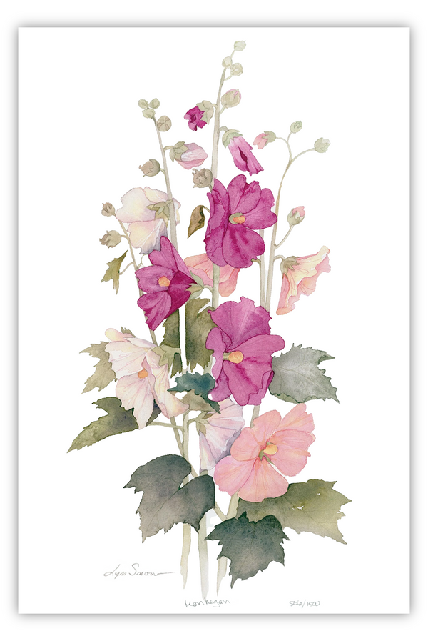 Lyn Snow Summer Flowers Prints