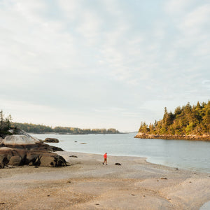 Midcoast Maine fall foliage photography scene, featuring vibrant autumn leaves during a workshop with Down East Adventures.