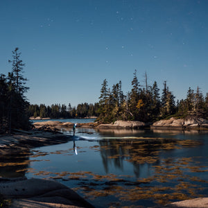 Fall foliage photography workshop with Down East Adventures, showcasing vibrant autumn leaves in a scenic Midcoast landscape.