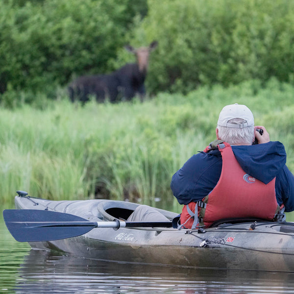 North Woods Wildlife Photography Adventure