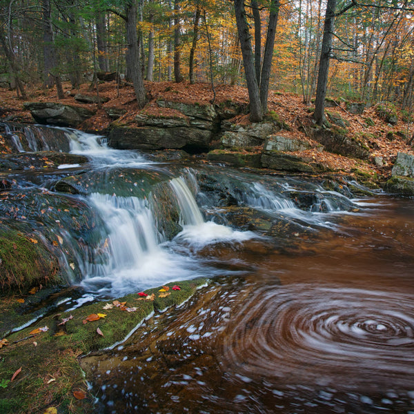 Western Maine Photography Workshops