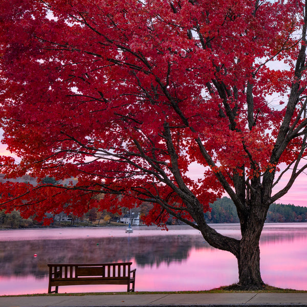 Western Maine Fall Photography Workshops