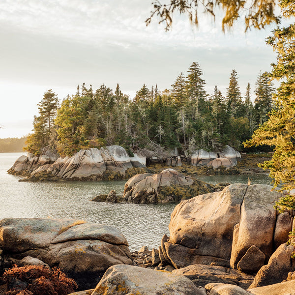 North Haven Photography Workshop